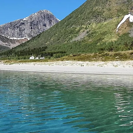 Pet Friendly In Sortland With Wifi